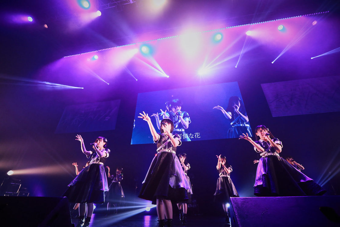 ＜可憐なアイボリー 1st Live Tour 〜青春リベンジ！〜＞品川ステラボール（2023年6月3日）