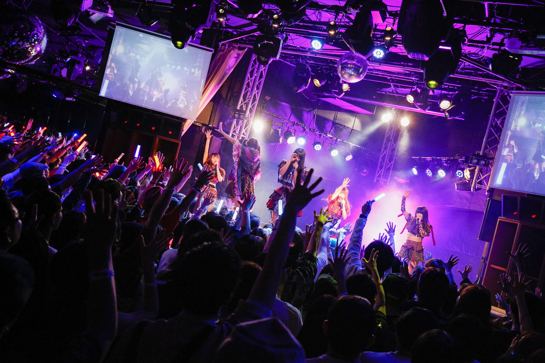 ZOC＜YATSUI FESTIVAL! 2019＞｜SOUND MUSEUM VISION（2019年6月16日）撮影：江藤はんな(SHERPA+)