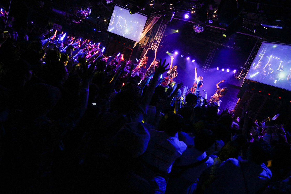 ZOC＜YATSUI FESTIVAL! 2019＞｜SOUND MUSEUM VISION（2019年6月16日）撮影：江藤はんな(SHERPA+)