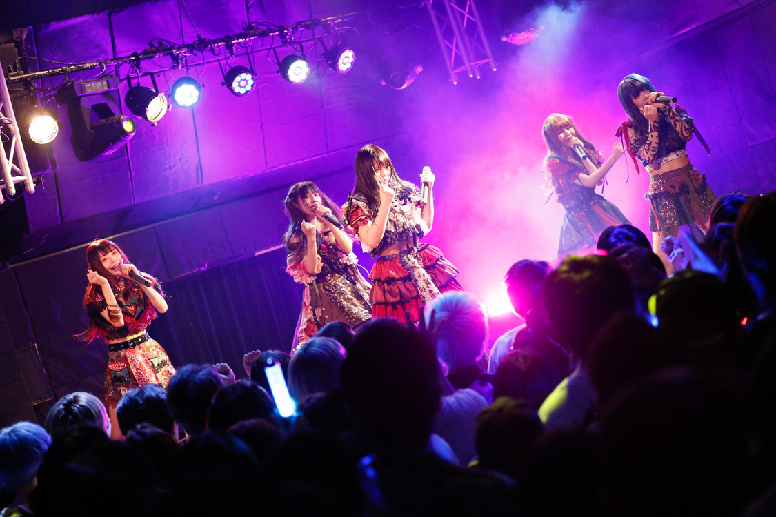 ZOC＜YATSUI FESTIVAL! 2019＞｜SOUND MUSEUM VISION（2019年6月16日）撮影：江藤はんな(SHERPA+)