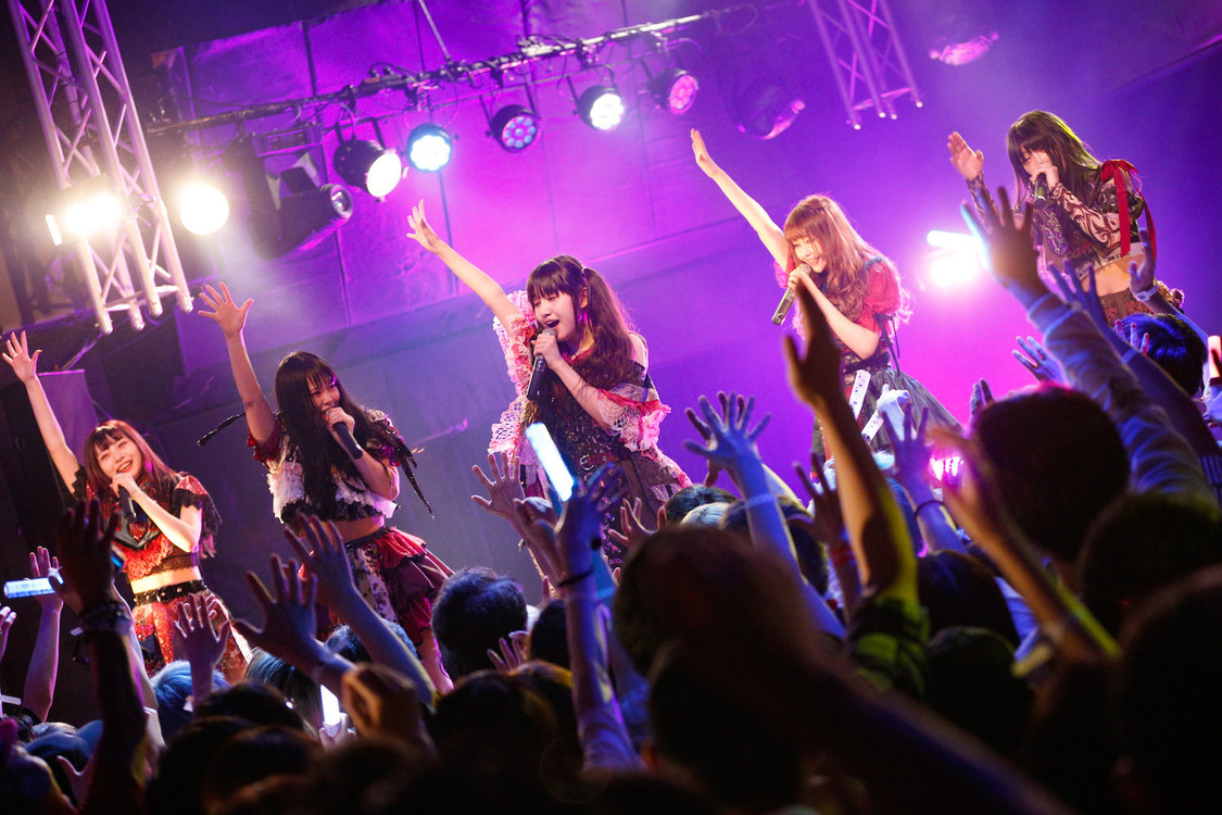 ZOC＜YATSUI FESTIVAL! 2019＞｜SOUND MUSEUM VISION（2019年6月16日）撮影：江藤はんな(SHERPA+)