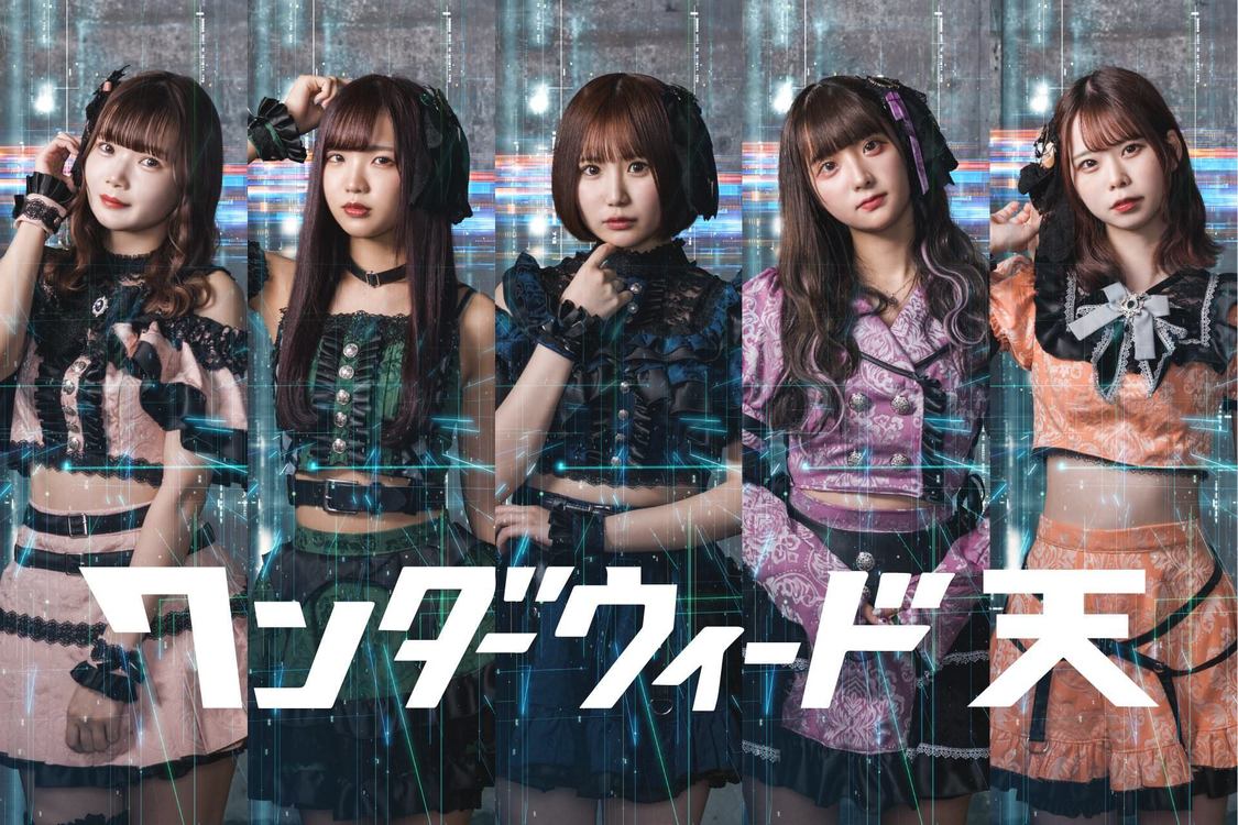 ワンダーウィード 天