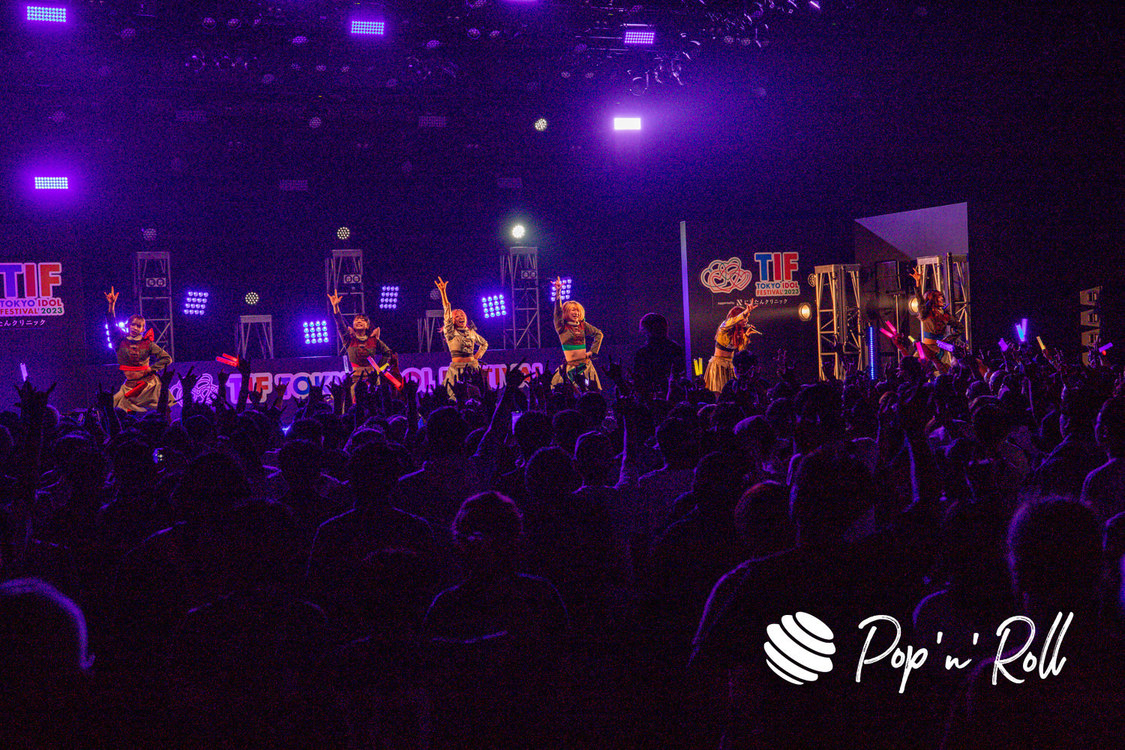 豆柴の大群＜TIF2023＞DOLL FACTORY（2023年8月5日）