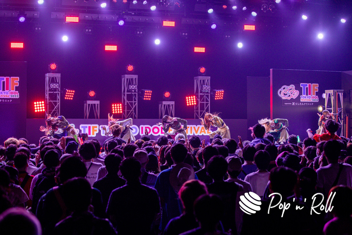 豆柴の大群＜TIF2023＞DOLL FACTORY（2023年8月5日）