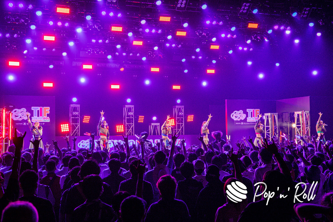 豆柴の大群＜TIF2023＞DOLL FACTORY（2023年8月5日）