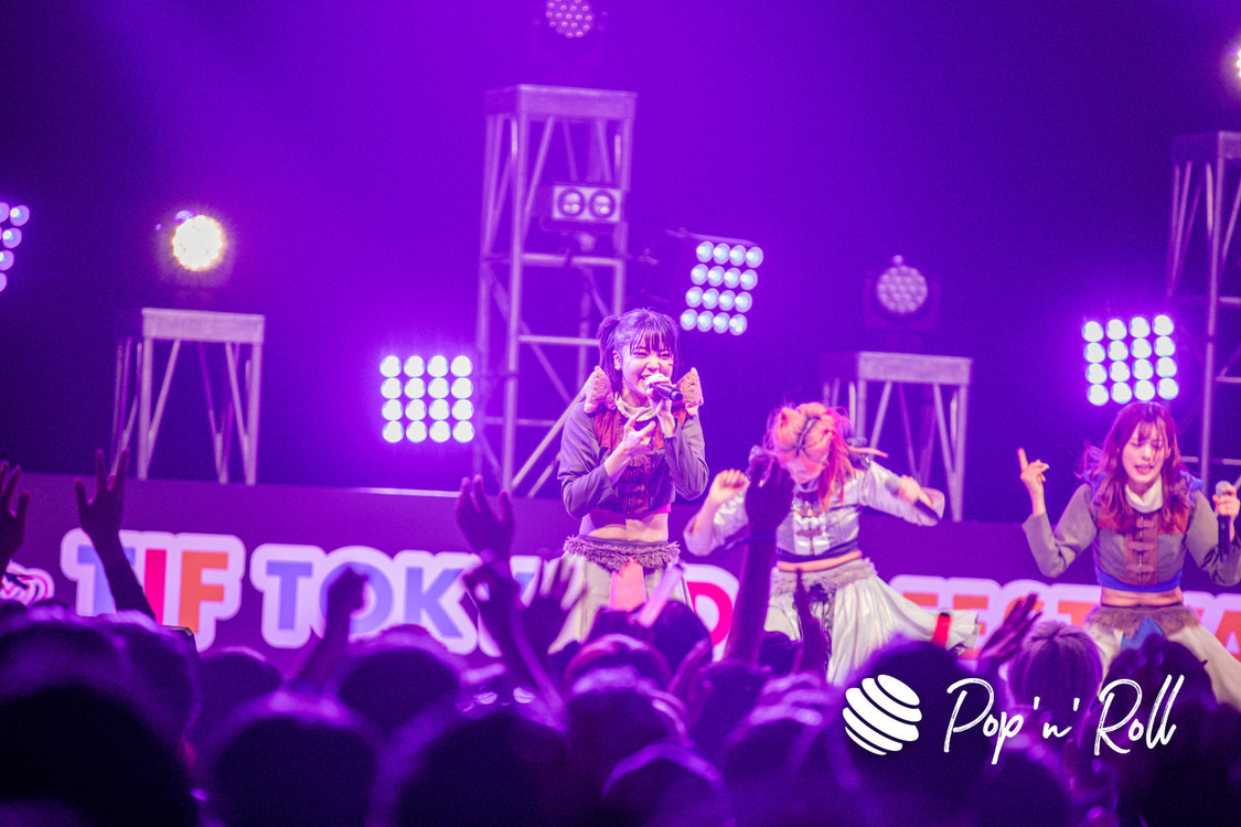 豆柴の大群＜TIF2023＞DOLL FACTORY（2023年8月5日）