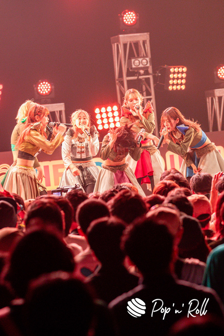 豆柴の大群＜TIF2023＞DOLL FACTORY（2023年8月5日）