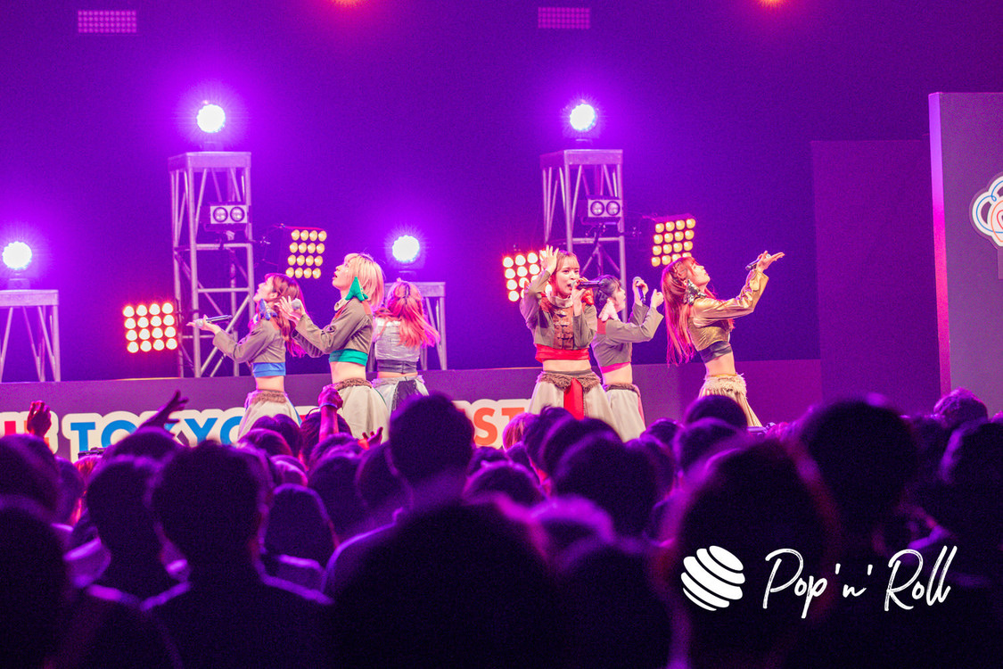 豆柴の大群＜TIF2023＞DOLL FACTORY（2023年8月5日）