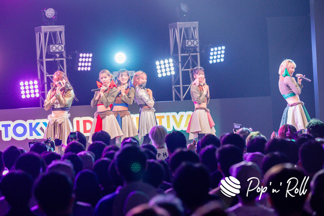 豆柴の大群＜TIF2023＞DOLL FACTORY（2023年8月5日）