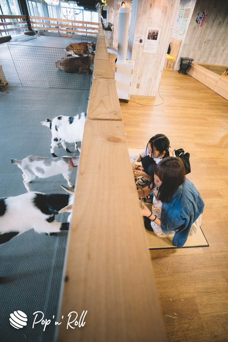 長谷川瑞、松田美里