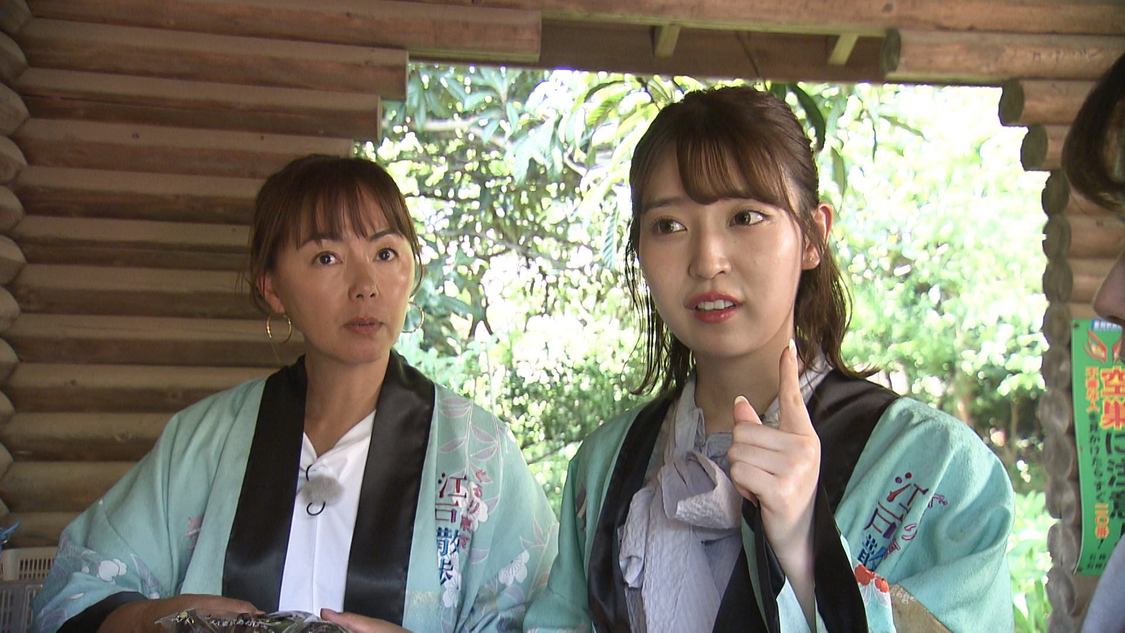 『ぐるり東京 江戸散歩』8月12日放送回より