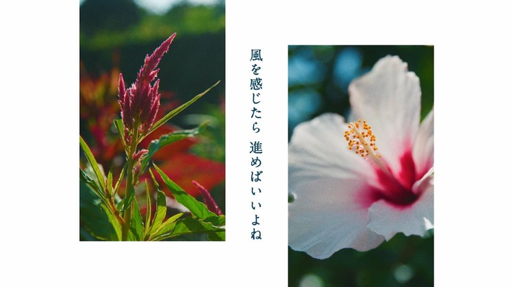 玉井詩織【8月曲】「マリンブルー」Lyric Video(玉井詩織12ヶ月連続ソロ曲プロジェクト『SHIORI TAMAI 12 Colors』)より