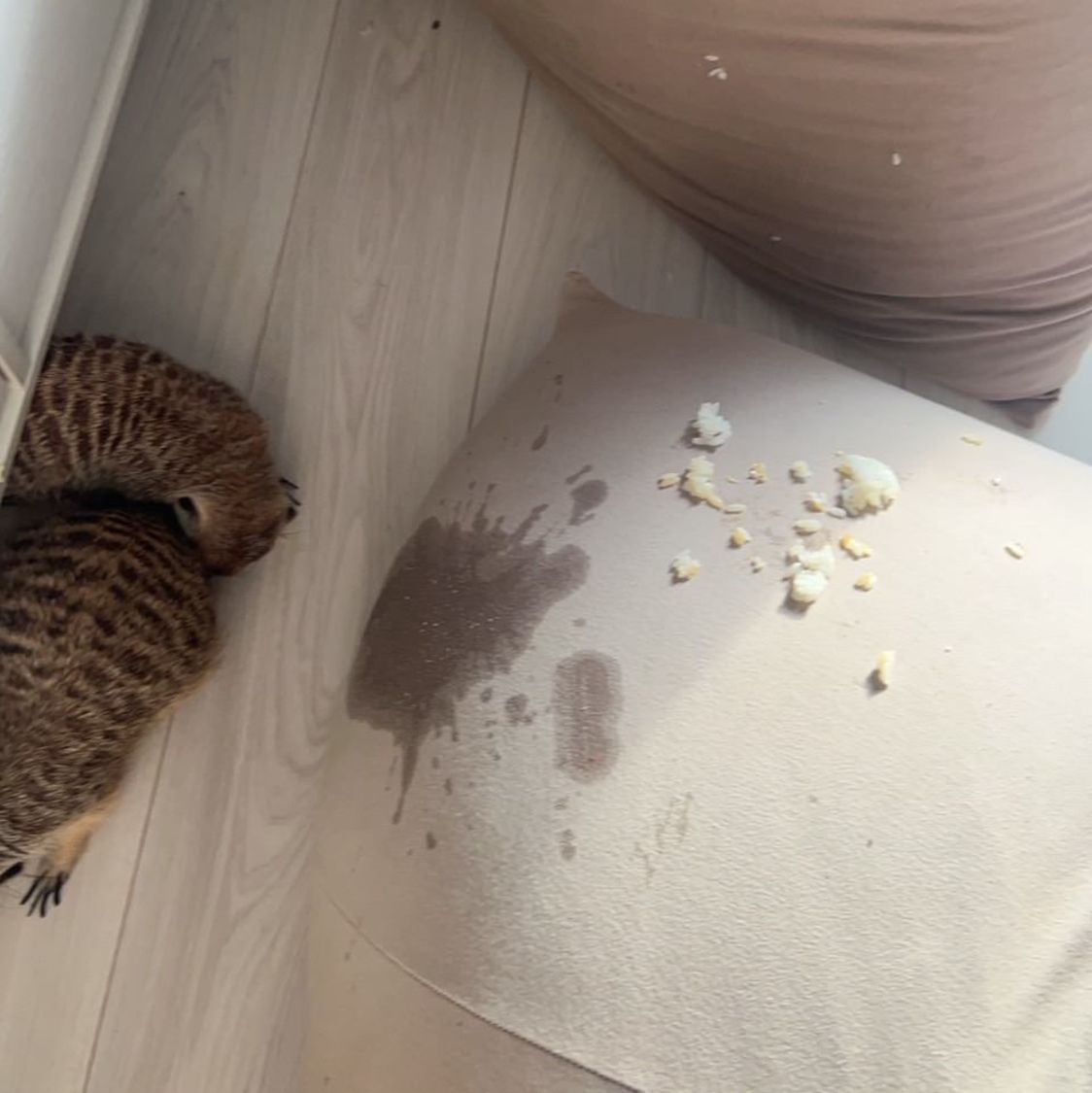 食欲の秋……ですね