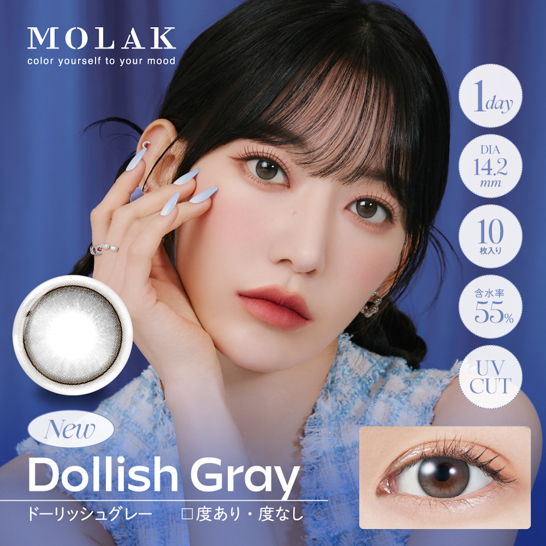 Dollish Gray（ドーリッシュグレー）1DAY