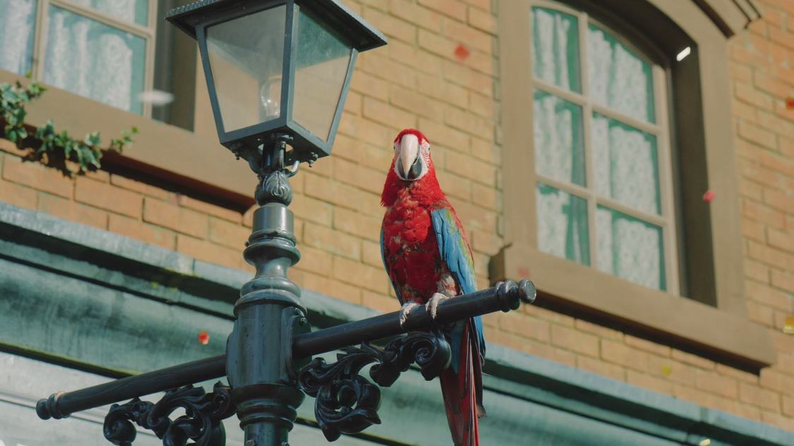 新TV-CM「ペイトク登場」篇より