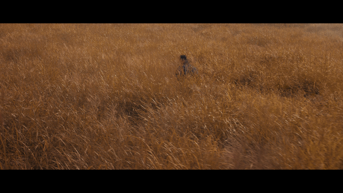 「サムライマック」新TV-CM「道を切り拓け」篇カット