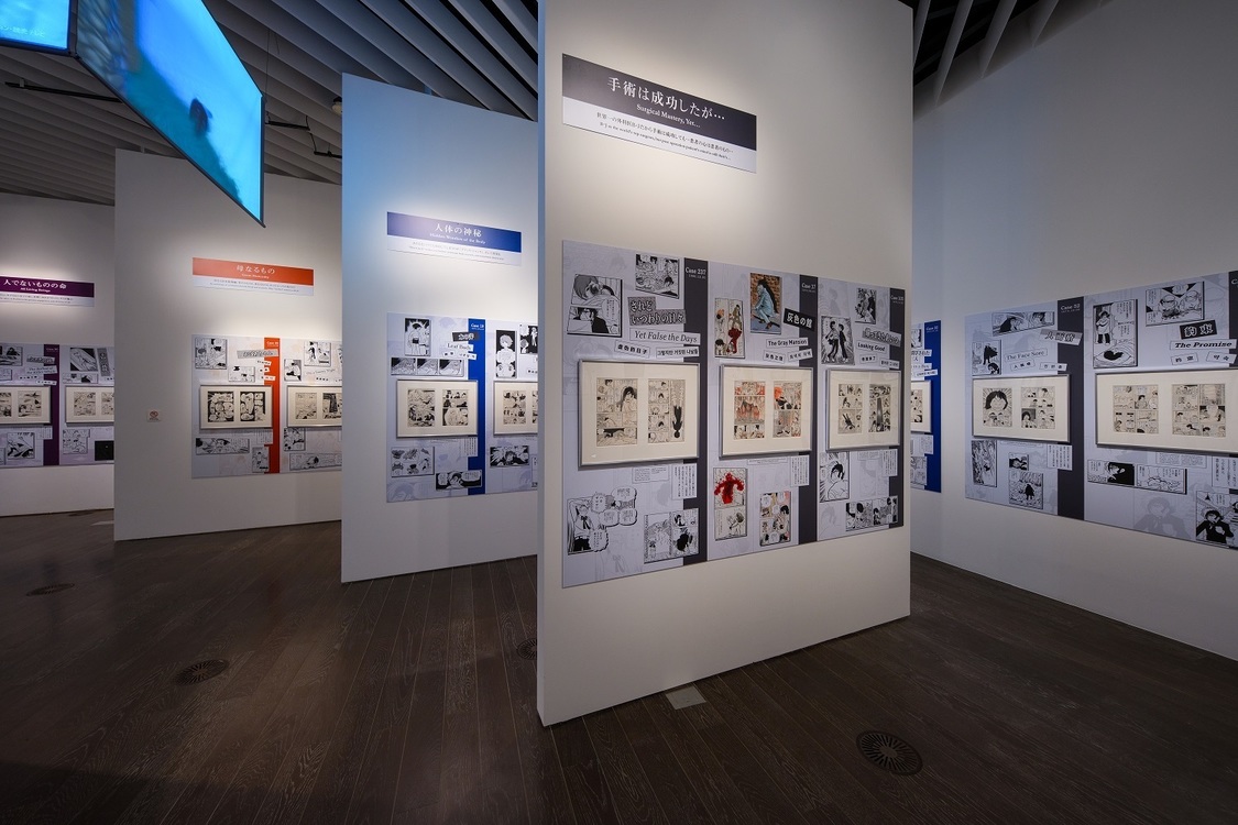 【第3室】B・J 曼荼羅 (C)Tezuka Productions