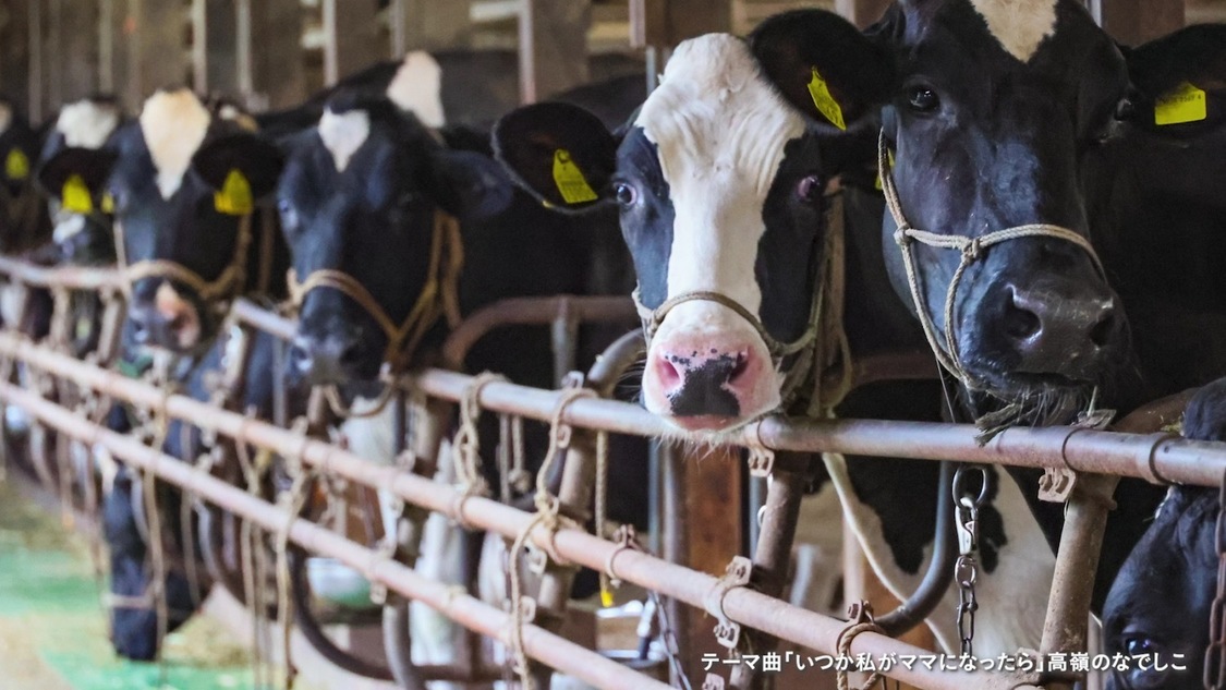高嶺のなでしこ 酪農応援アンバサダー就任　関連カット