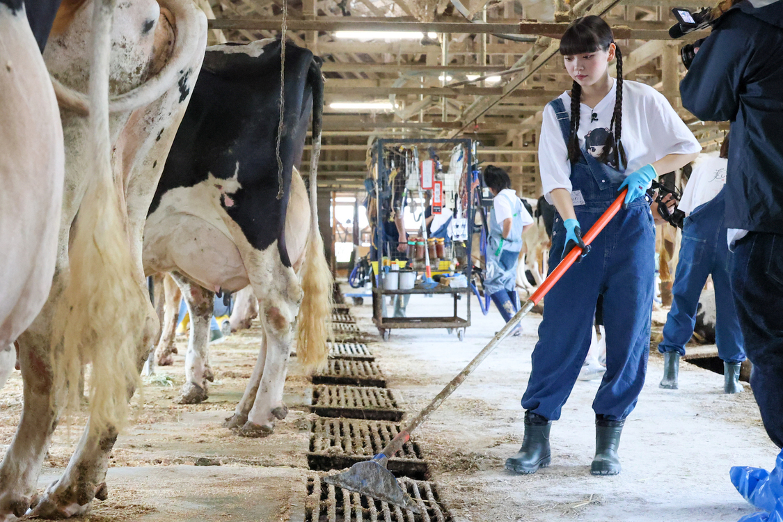 高嶺のなでしこ 酪農応援アンバサダー就任　関連カット