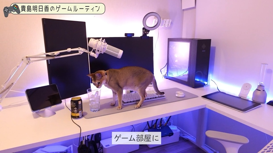 「27歳モデル貴島明日香、休日のゲームルーティン」より