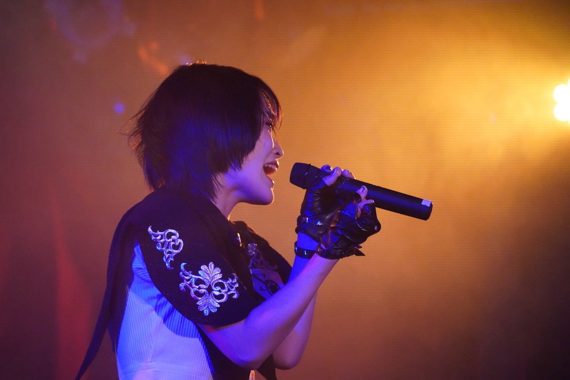 ゼロサンクチュアリ