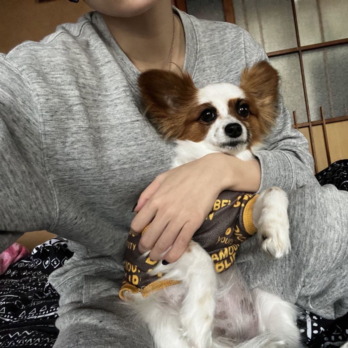 久々に実家でダラダラしました！　何も考えずゴロゴロするのはいいものですな〜