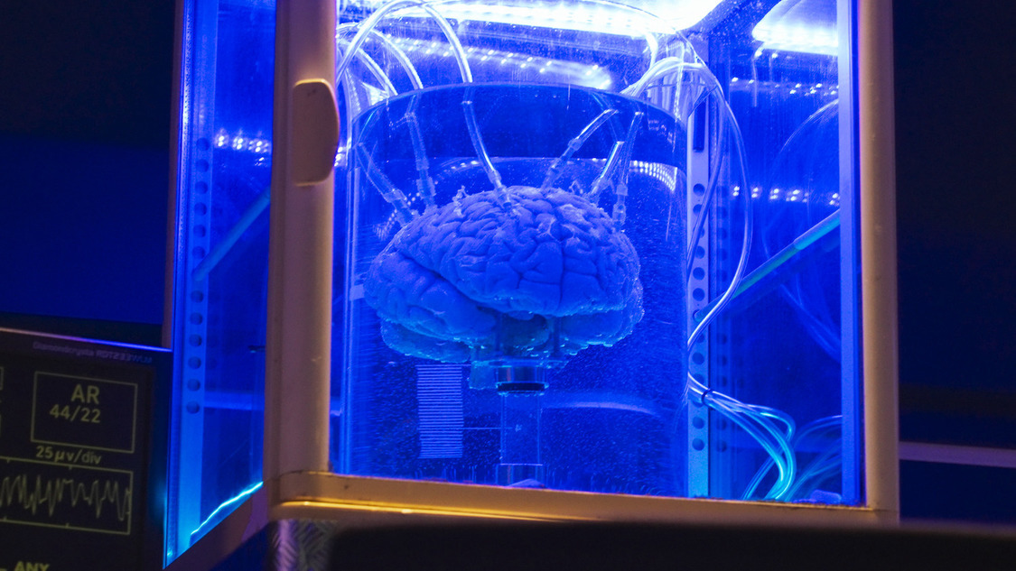 『PORTAL-X 〜ドアの向こうの観察記録〜』予告編＆ショートムービーより