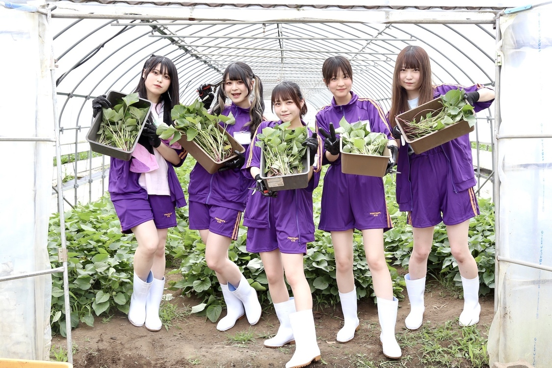 I’mew（あいみゅう） 照沼とのコラボレーション