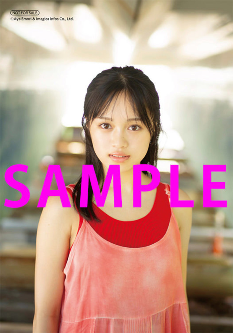 ビックカメラグループ（※グループ共通絵柄）　L判ブロマイド