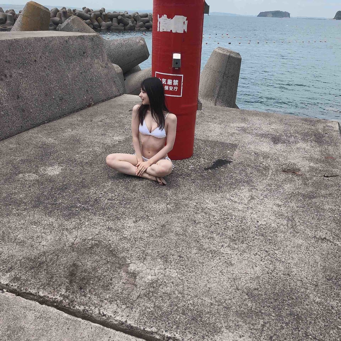 提供 所属事務所