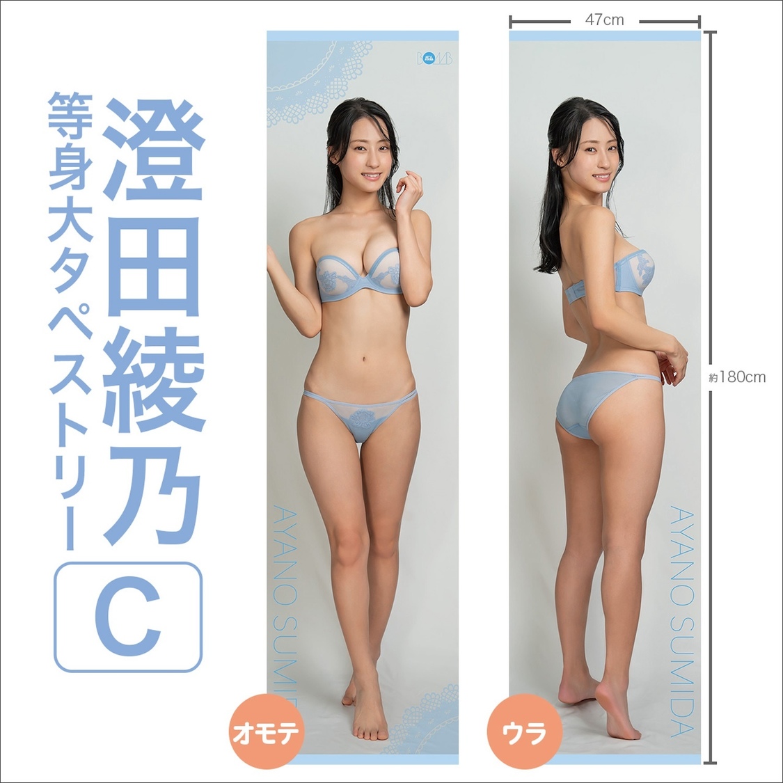 激レア 澄田綾乃 サイン入り等身大タペストリー 📸 画像:澄田綾乃等身大タペストリーC|澄田綾乃、サイズ感を