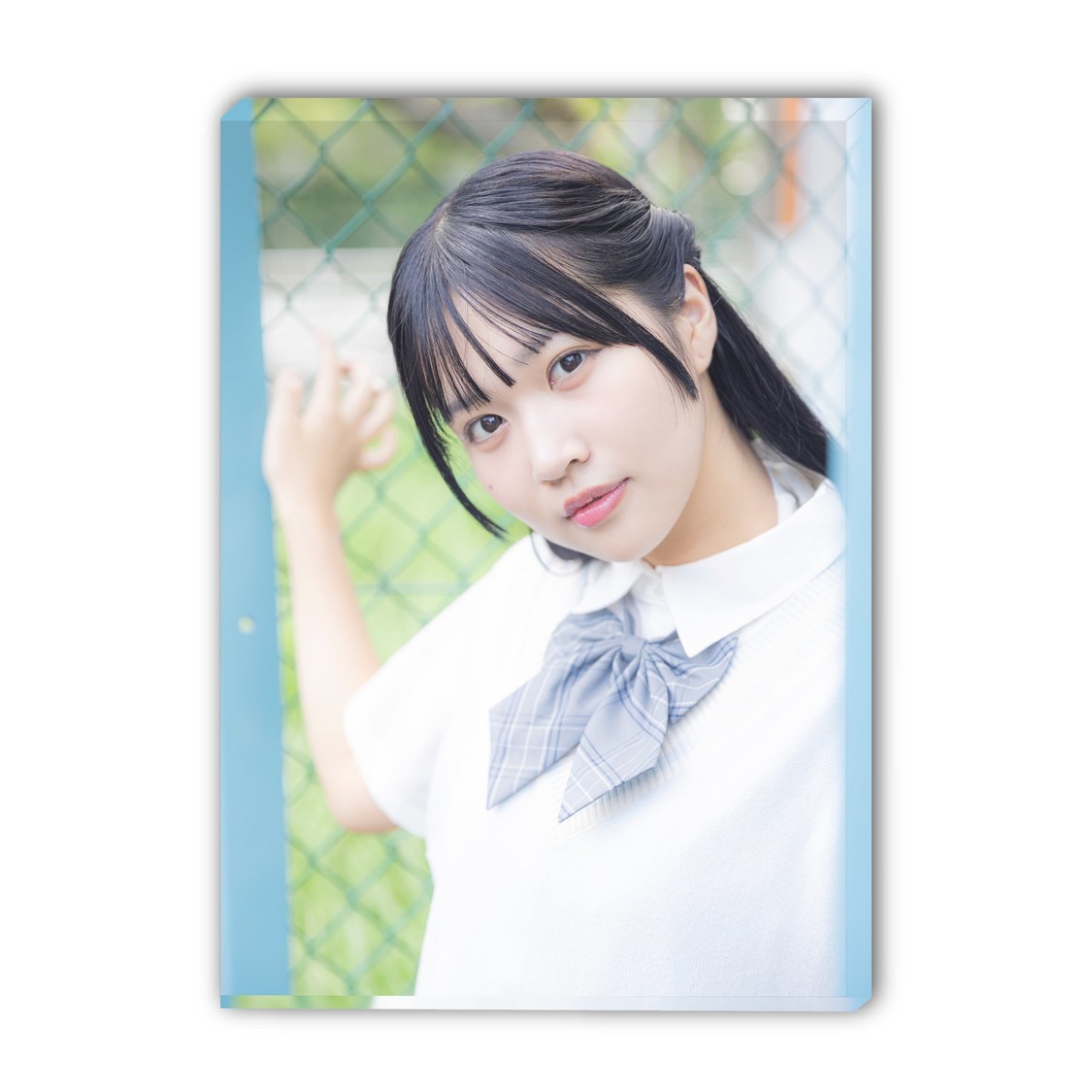 ARアクリルパネルD