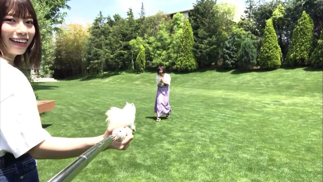 「はじめてペットシッターやってみた」（東村芽依、松田好花、渡邉美穂）