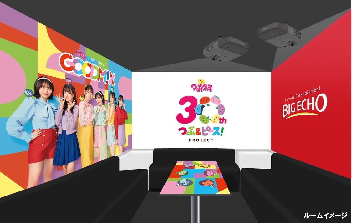 ビッグエコー×『GOODM!X』コラボルーム