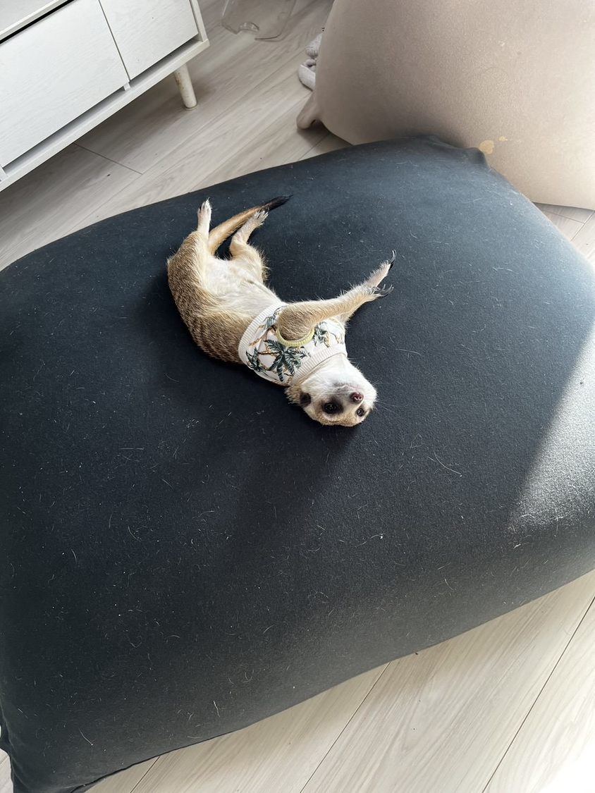 振り返るといつもこの体制で我が子が見守っています。