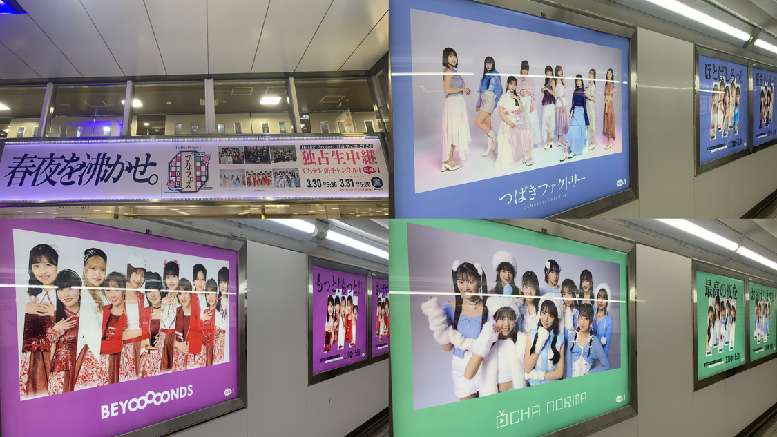 Hello! Project #ひなフェス 2024