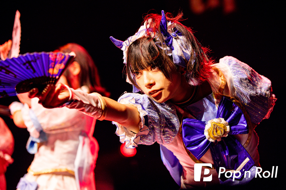 Appare!＜歌舞伎町 UP GATE↑↑2024＞Zepp Shinjuku(TOKYO)（2024年5月5日）