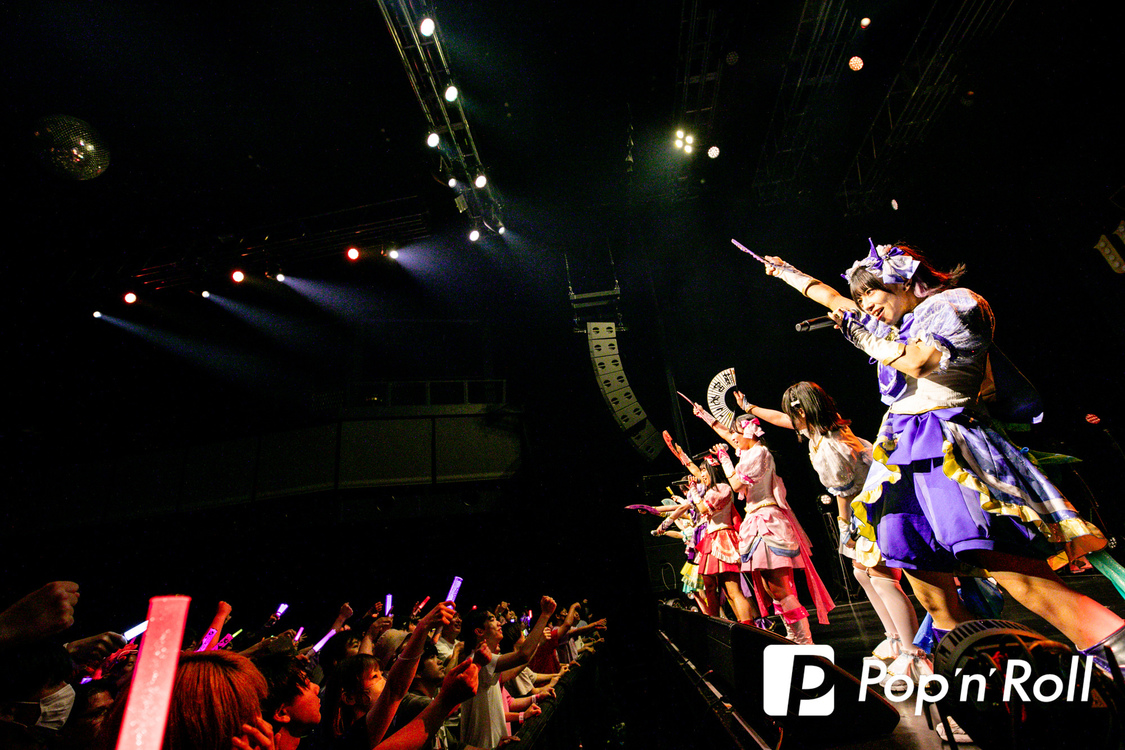 Appare!＜歌舞伎町 UP GATE↑↑2024＞Zepp Shinjuku(TOKYO)（2024年5月5日）