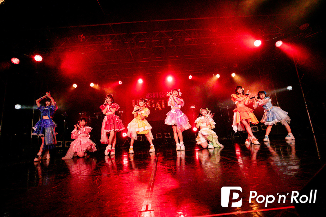 SWEET STEADY＜歌舞伎町 UP GATE↑↑2024＞新宿BLAZE（2024年5月5日）