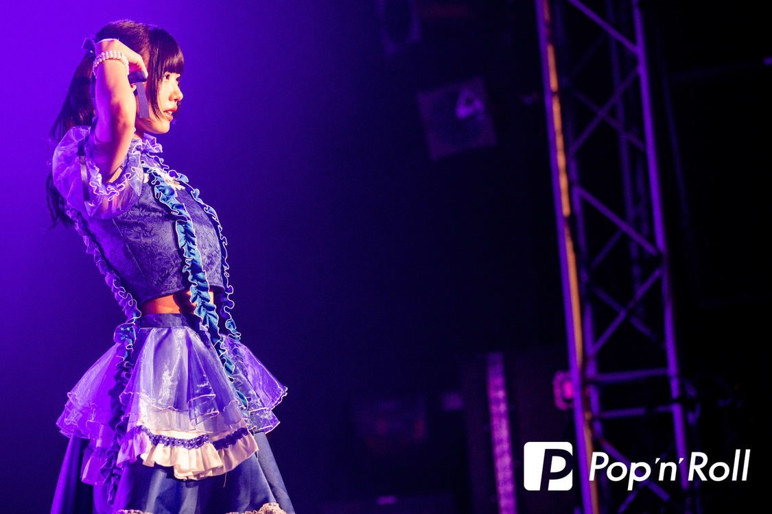 SWEET STEADY＜歌舞伎町 UP GATE↑↑2024＞新宿BLAZE（2024年5月5日）