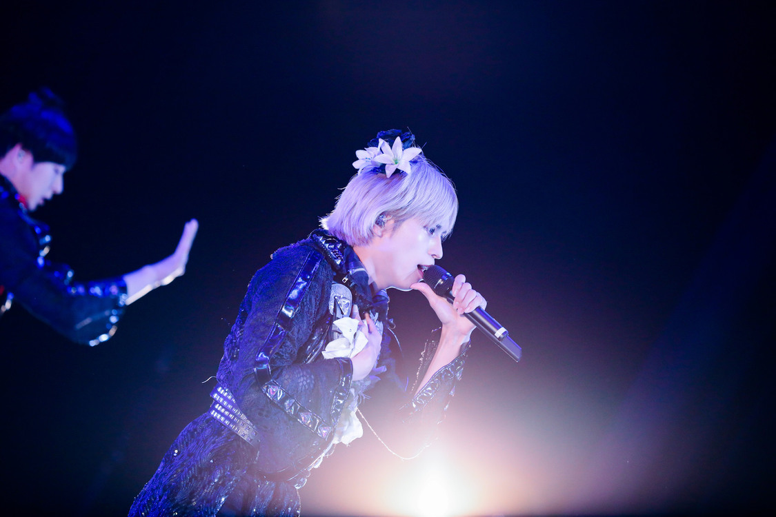 白鳥白鳥＜ゲイでもアイドルになれる！ in Zepp Tokyo＞｜Zepp Tokyo（2019年7月14日）