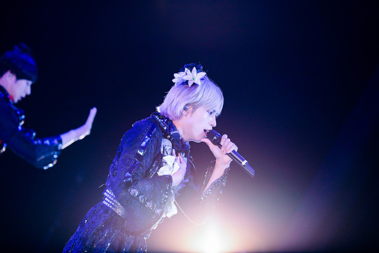 白鳥白鳥＜ゲイでもアイドルになれる！ in Zepp Tokyo＞｜Zepp Tokyo（2019年7月14日）