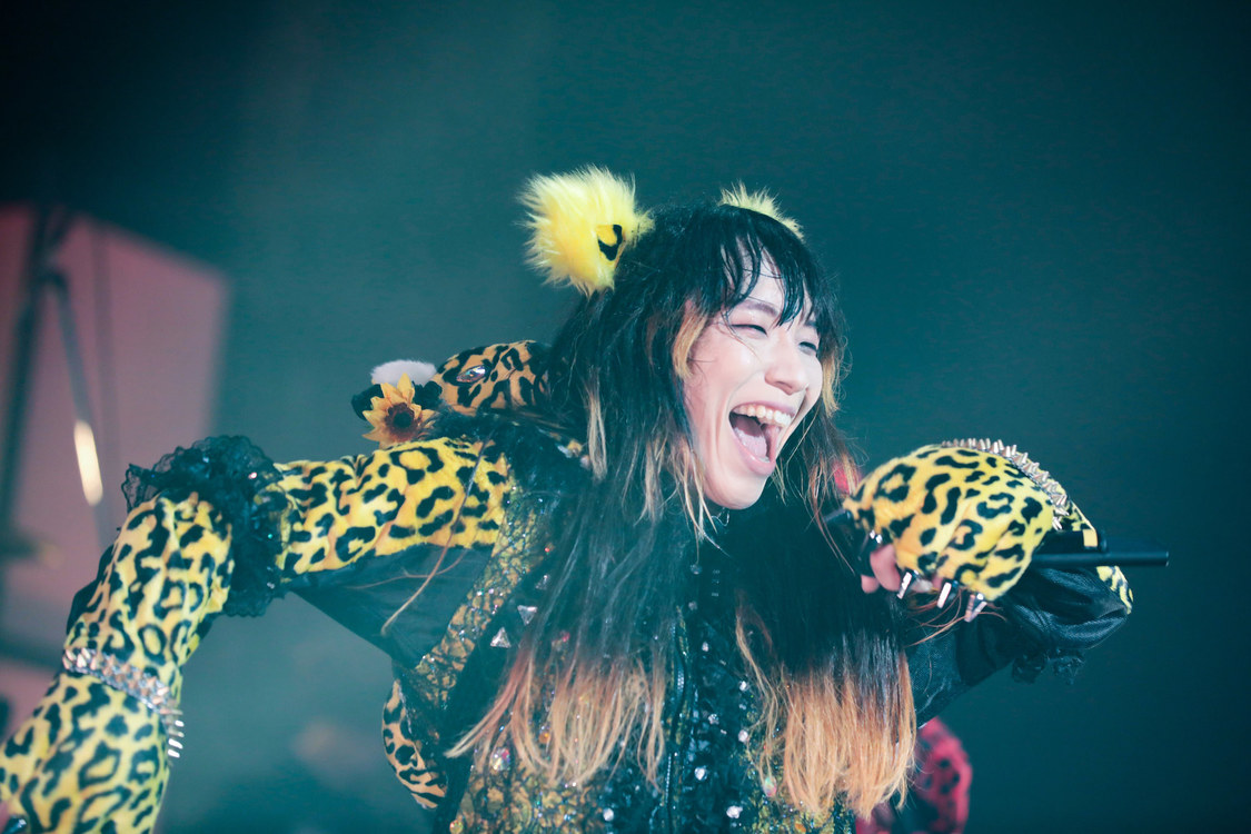 ぺいにゃむにゃむ＜ゲイでもアイドルになれる！ in Zepp Tokyo＞｜Zepp Tokyo（2019年7月14日）