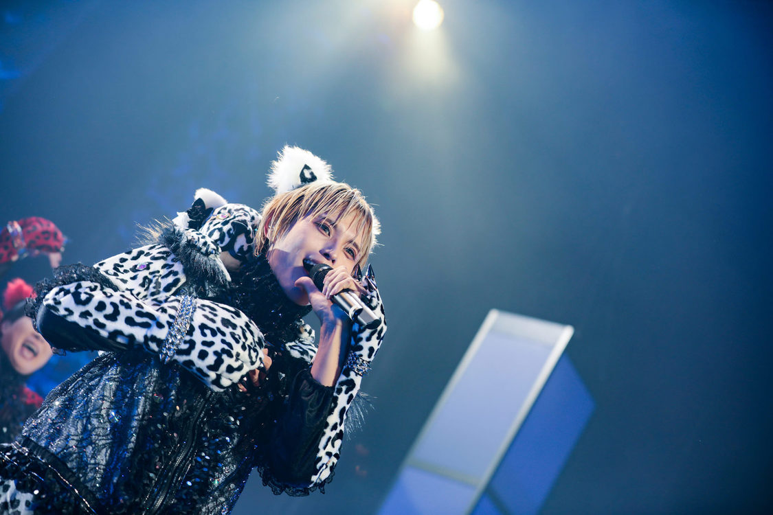 白鳥白鳥＜ゲイでもアイドルになれる！ in Zepp Tokyo＞｜Zepp Tokyo（2019年7月14日）