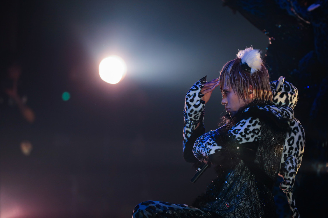 白鳥白鳥＜ゲイでもアイドルになれる！ in Zepp Tokyo＞｜Zepp Tokyo（2019年7月14日）