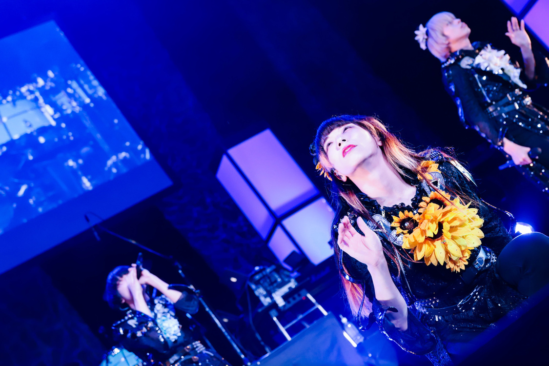 ぺいにゃむにゃむ＜ゲイでもアイドルになれる！ in Zepp Tokyo＞｜Zepp Tokyo（2019年7月14日）