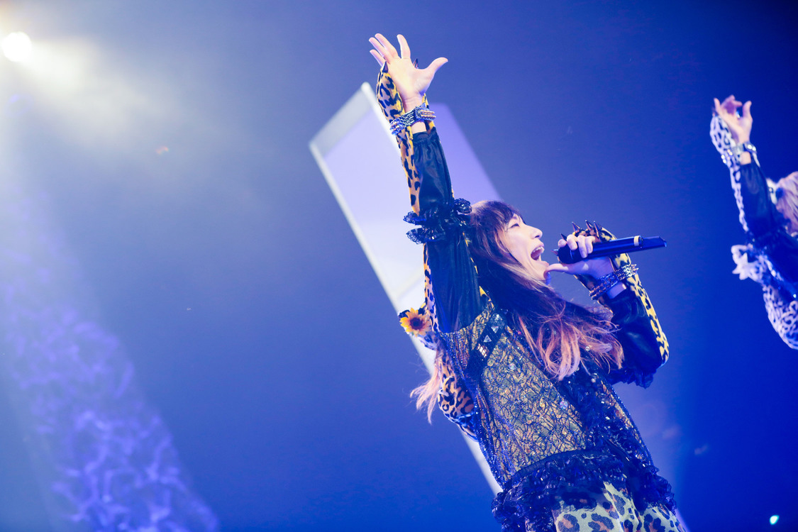 ぺいにゃむにゃむ＜ゲイでもアイドルになれる！ in Zepp Tokyo＞｜Zepp Tokyo（2019年7月14日）