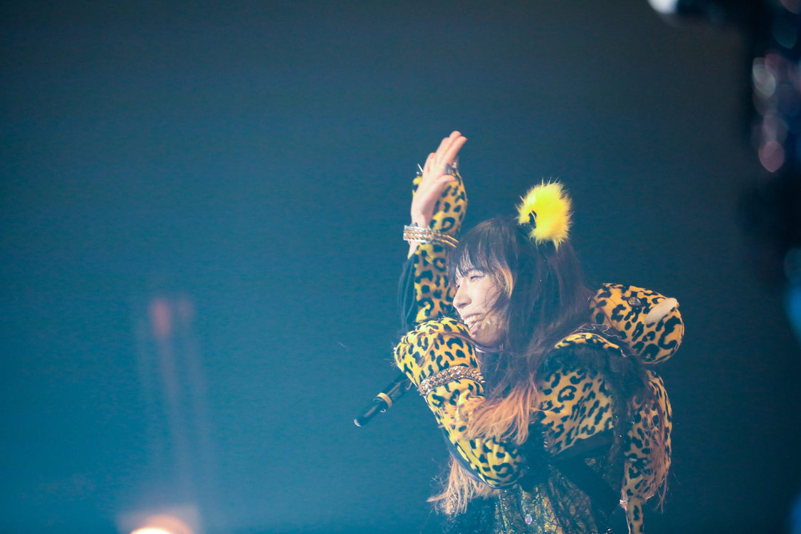 ぺいにゃむにゃむ＜ゲイでもアイドルになれる！ in Zepp Tokyo＞｜Zepp Tokyo（2019年7月14日）