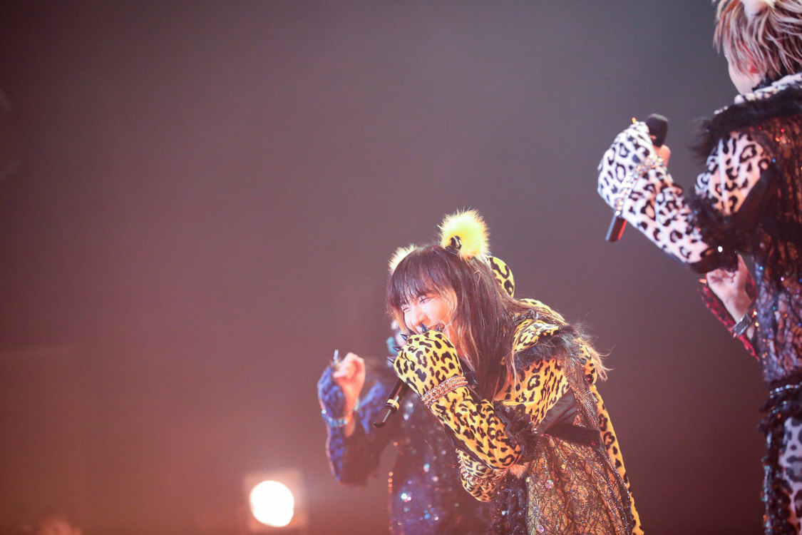 ぺいにゃむにゃむ＜ゲイでもアイドルになれる！ in Zepp Tokyo＞｜Zepp Tokyo（2019年7月14日）