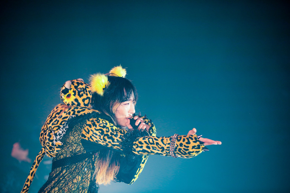 ぺいにゃむにゃむ＜ゲイでもアイドルになれる！ in Zepp Tokyo＞｜Zepp Tokyo（2019年7月14日）